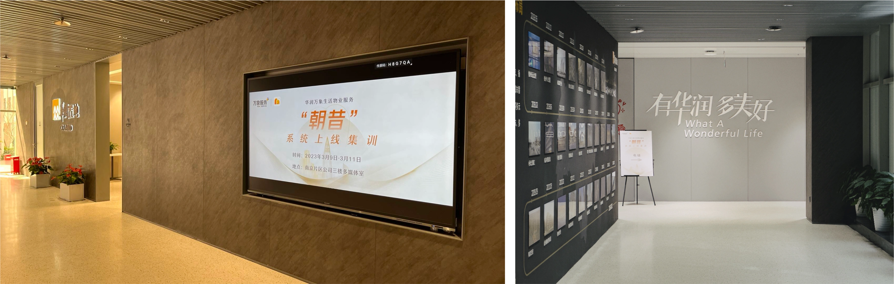 Hello Zhaox Campaign - Marketing Strategy